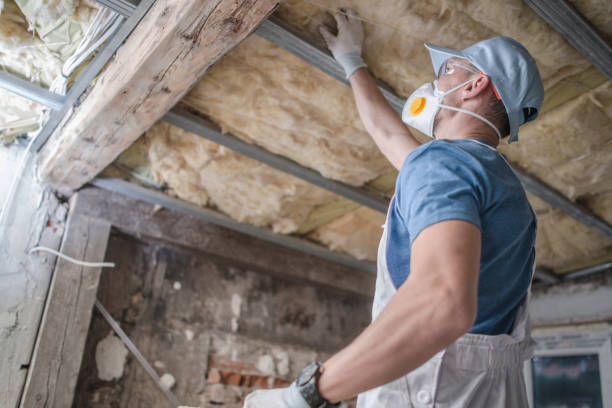 Best Eco-Friendly Insulation in Newberry, MI