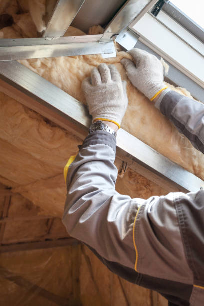 Best Geographic-Specific Insulation Services in Newberry, MI