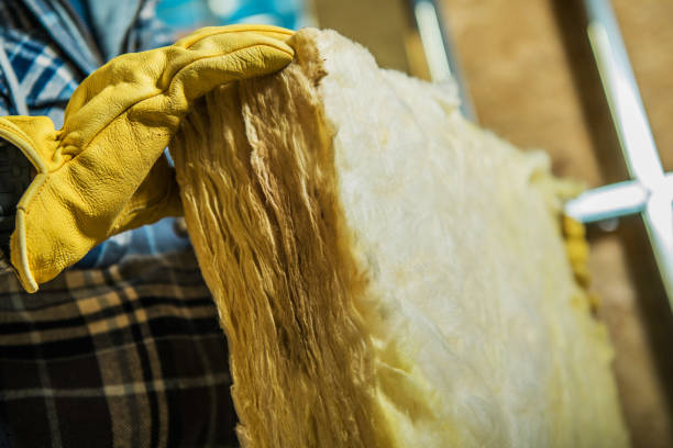 Best Residential Insulation in Newberry, MI