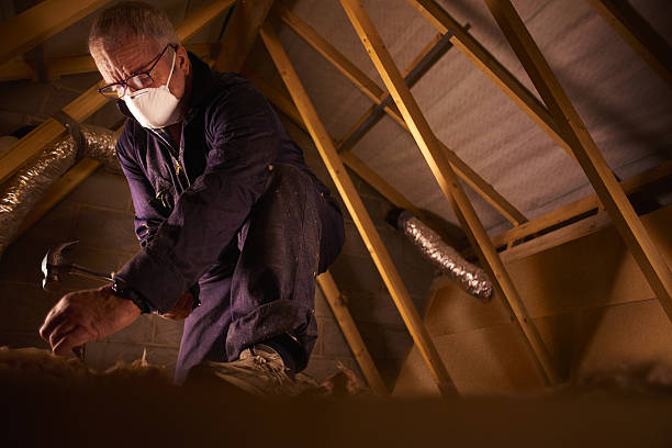 Best Insulation Maintenance and Repair in Newberry, MI